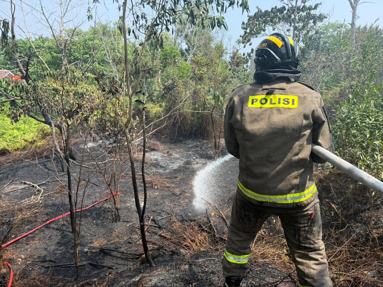 Respons Cepat Personel Dit Samapta Polda Bengkulu, Kebakaran Lahan Langsung Ditangani